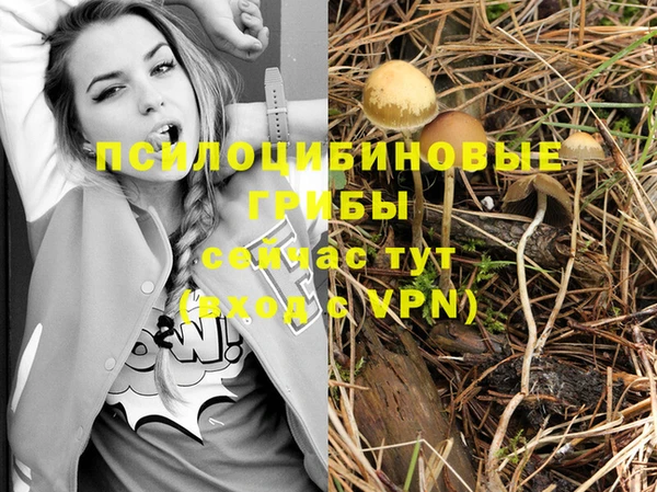 ALPHA-PVP Медногорск